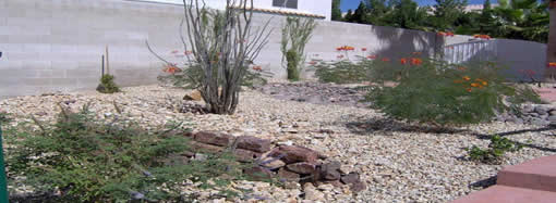 GreenCare.net Swimming Pool Contractor - Desert Landscape